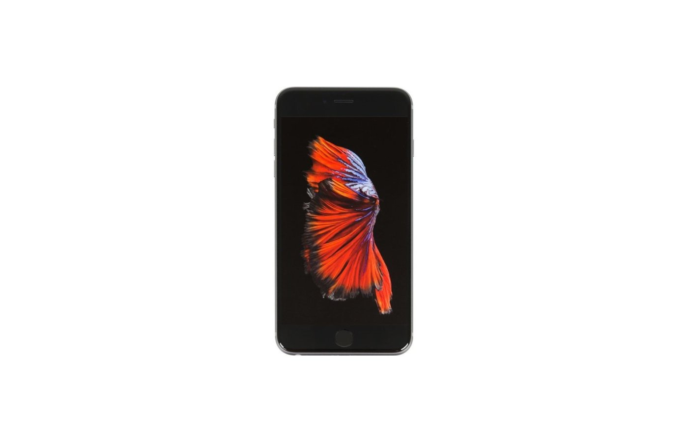 Apple iPhone 6s Plus، صورة 3