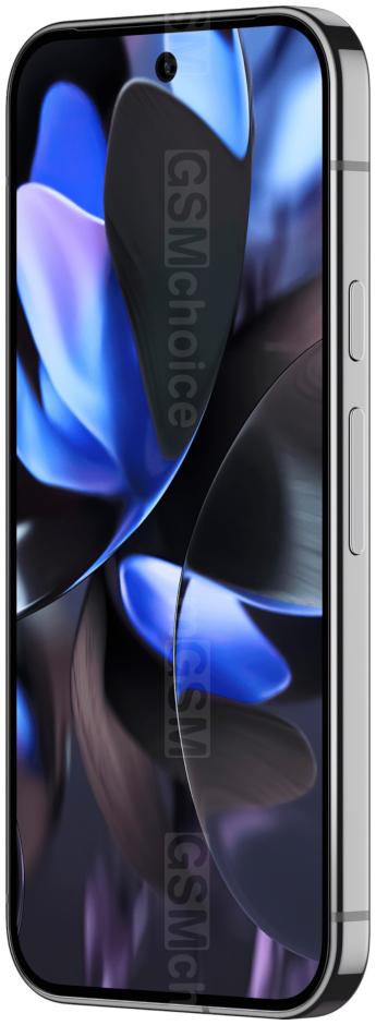 Google Pixel 9 Pro، صورة 1