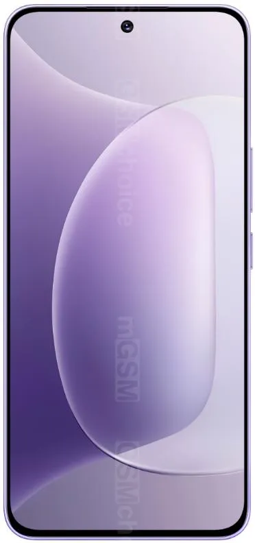 Honor 300