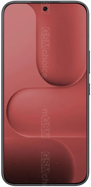 Honor 500 Pro Molly
