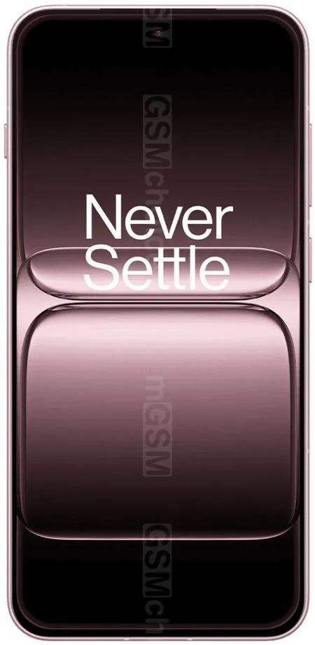 OnePlus 13T