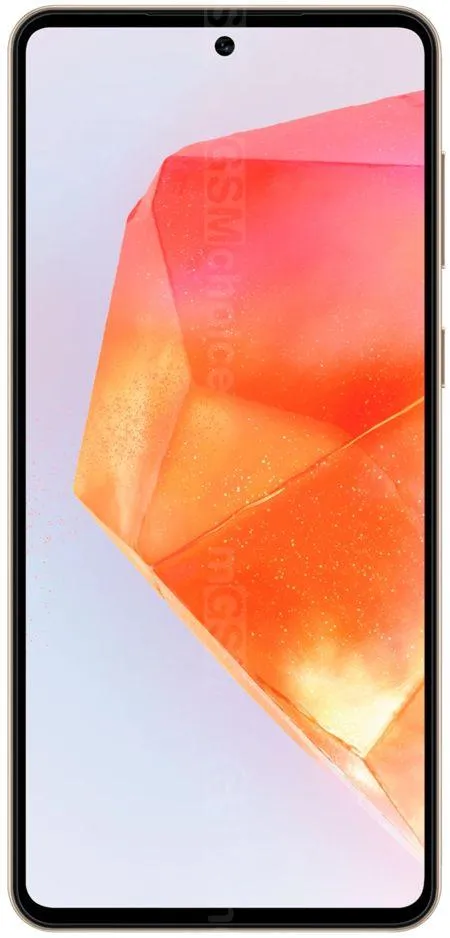 Samsung Galaxy C55