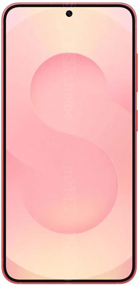 Samsung Galaxy S25