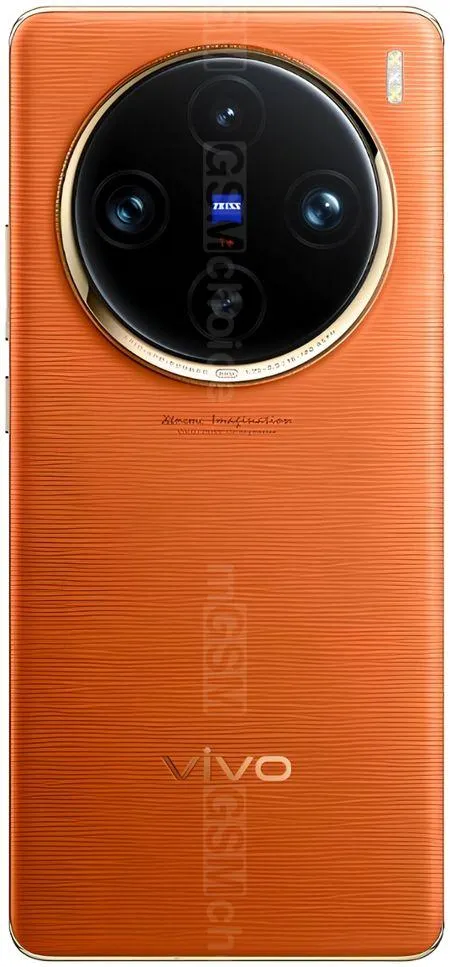 Vivo X100 Pro