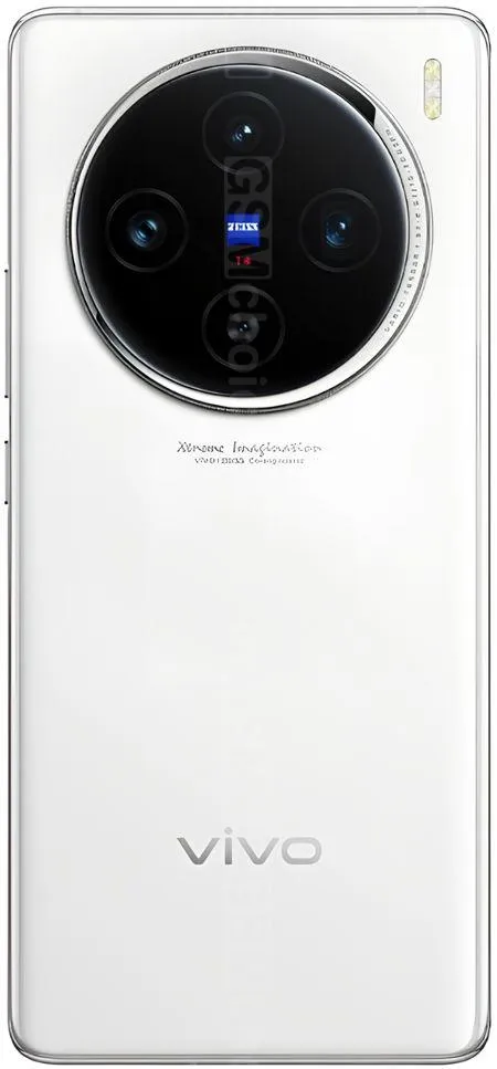 Vivo X100