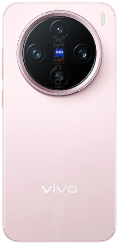 Vivo X200 Pro mini