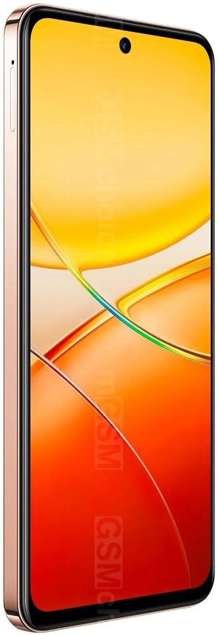 Vivo Y200+